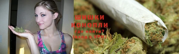прущие грибы Богородицк