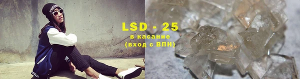 бошки Бородино