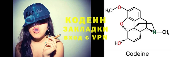 бошки Бородино