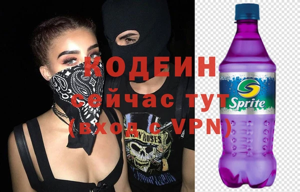 бошки Бородино