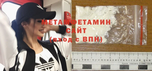 прущие грибы Богородицк