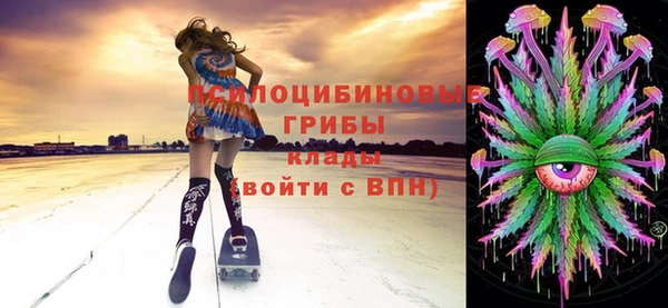 прущие грибы Богородицк